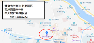 全球布局